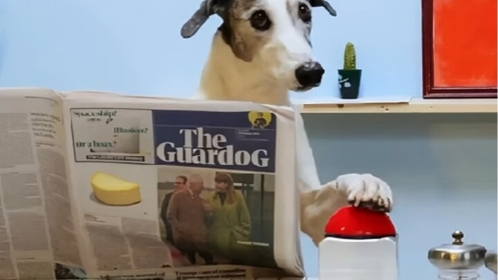 “有趣的事分享给有趣的人”