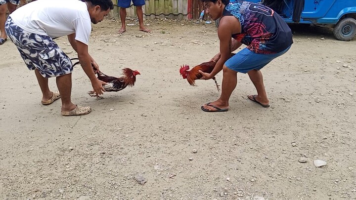 bowanting na half Tagalog half road island win 😂😂😂