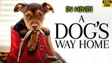 A Dogs Way Home 2019 in Hindi