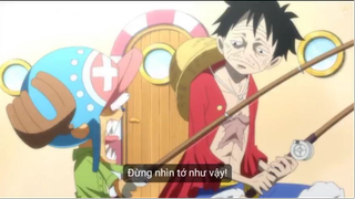 Chopper - Thức ăn dự trữ của Luffy và cả băng