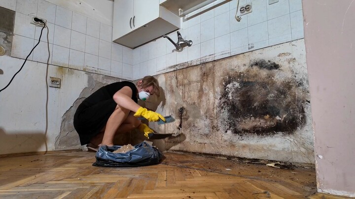 Mold Removal Chattanooga
