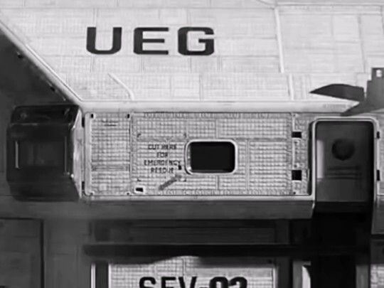 الزهور تتدلّى ممتلئةً على الأغصان