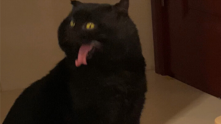 How many more surprises do you have that I don’t know about?