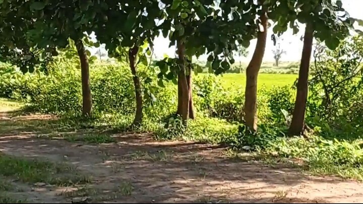 Cox's Bazar Tour