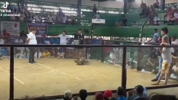 champion tayo mga boss 🏆🏆🏆