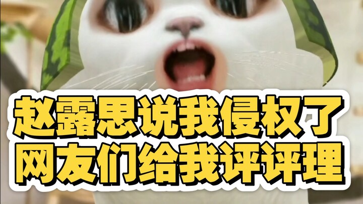 Choáng! Triệu Lộ Tư bảo tôi vi phạm bản quyền… (Đã chỉnh sửa và đăng lại nhiều lần)