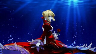 【Fate/Nero】Venus the goddess of beauty