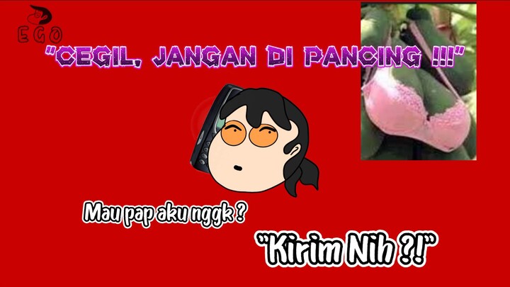 CEGIL, JANGAN DI PANCING !!!