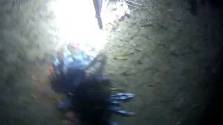 Night Spear fishing#lionFish