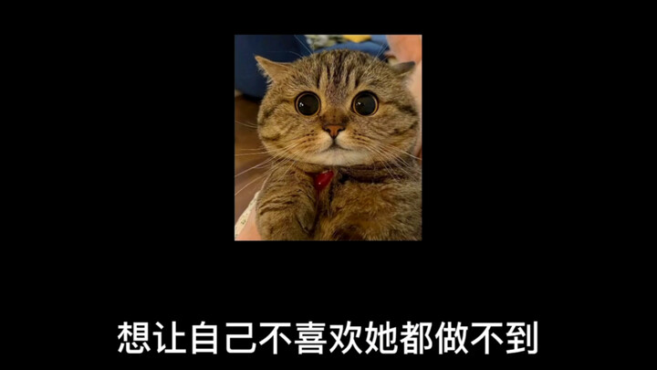 Đang nghĩ về ai vậy?