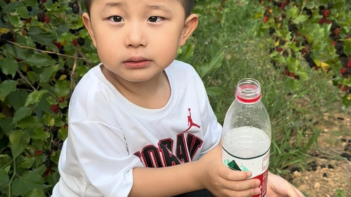 معلم شهير للتنزه مع الأطفال - الجزء الخاص بالمنتجع