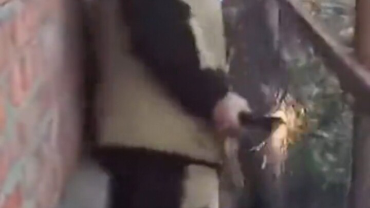 Failed to check the power grid and ended up breakdancing!