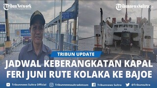 Update Jadwal Keberangkatan Kapal Feri Juni 2024 Rute Kolaka Sultra ke Bajoe Sulsel dan Sebaliknya