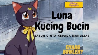 Ditolong manusia, Kucing ini malah baper 😭☝️