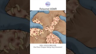 [ASMR] 원피스 쵸파 망고벌레 감염! 극혐주의 애니메이션 | One Piece Chopper Mango Bug Infestation!! removal animation
