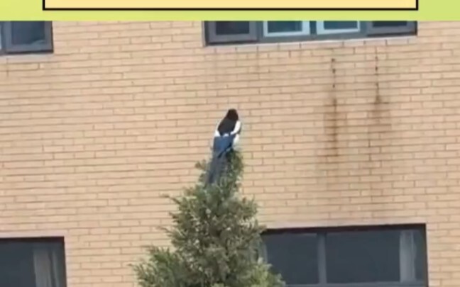 حصص الصباح الباكر هكذا: ما تشوف شي، ما تشوف شي أصلاً!