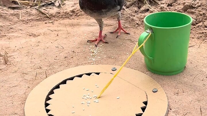 【Giải thuyết kỳ thú thế giới】đã cập nhật một video, mời mọi người vào xem ngay!