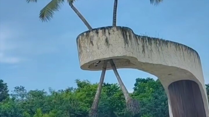 Ngủ dậy đột ngột, thấy cây nổi lơ lửng trên không