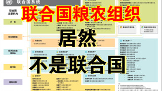 联合国巡礼四：联合国“系统”是什么？它到底有多庞大？
