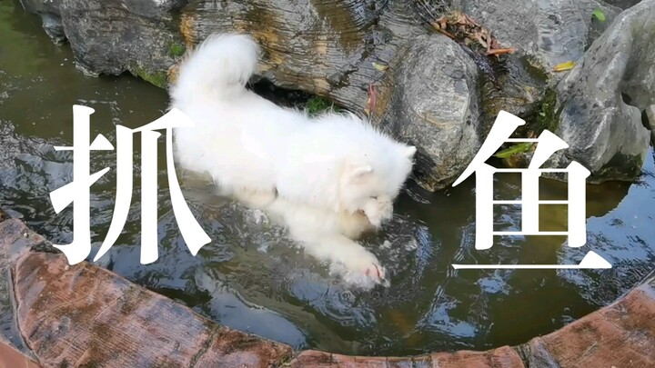 ตั้งแต่เด็กก็ชอบเล่นน้ำ ถ้าไม่ให้ลงน้ำก็จะเสียใจ พอให้ลงทีไร ฉันก็ปวดหลังทุกที ตามใจจนเคยตัวแล้ว ฮือ