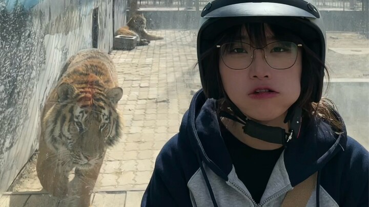 ฉันไม่สามารถให้อาหารเขาได้ แต่ฉันสามารถทำให้เขาหิวได้