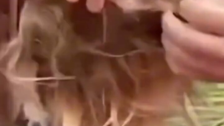 The girl complained that something was tugging at her hair, so her dad went to check—and this is wha