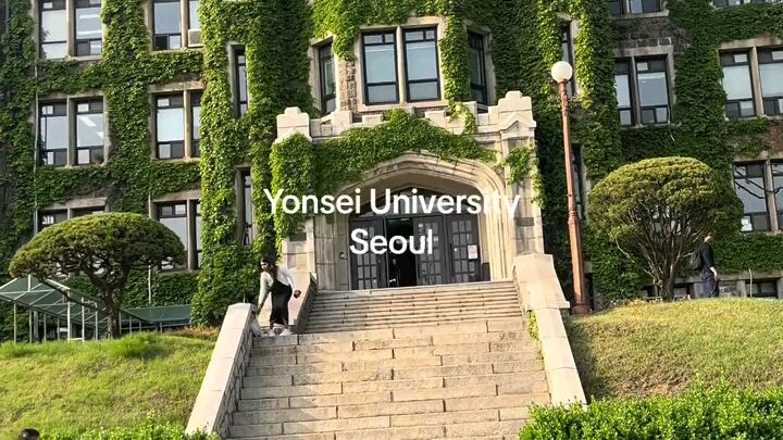 Yonsei University(True beauty)