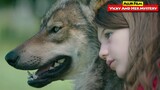 Kisah Gadis Kecil Yang Bersahabat Dengan Serigala Liar | Alur Cerita Film VICKY AND HER MYSTERY