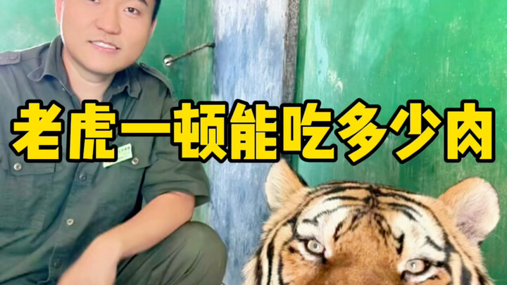 你们这吃肉能力，是我想不到的。