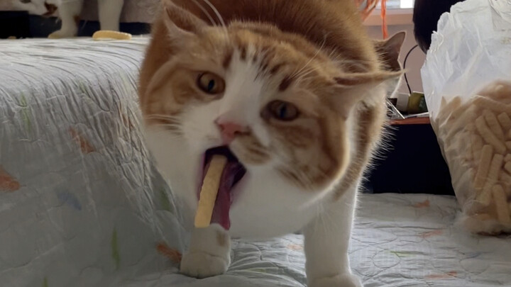 ทำอะไรก็ชอบไปร่วมวงด้วยเสมอ