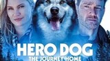 HERO DOG: THE JOURNEY HOME ( Full HD Movie English )
