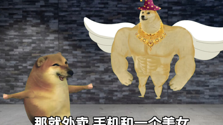 如果是你，你会如何选择！