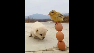 ไม่ได้เป็นคนเจ้าชู้ ลองมาคบดู แล้วจะรู้ว่าเป็นคนน่ารัก