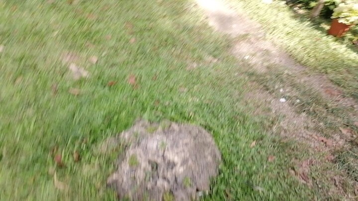 Mag kapatid na bulik baldado ang kaliwang paa nang nasa kaliwa