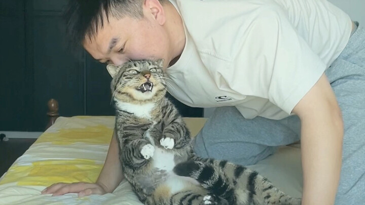 我又幻想了，自己是臭卷宝失散多年的亲生母亲！