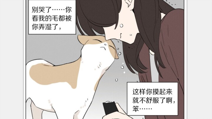 【麻尾】我是一只宠物猫