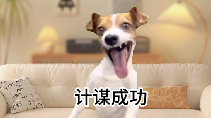 Làm thế nào để trị chứng trì hoãn của bạn trai?