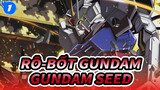 Rô-bốt Gundam|[2019 Lễ hội âm nhạc tại sân vận động Tokyo Dome] Phần vê Gundam SEED_1