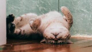 มีวันไหนที่ไม่ซนกันบ้าง