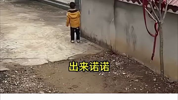 Even though I was scared too, I still covered the dog’s ears for it.