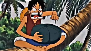 apakah one piece ada kaitan dengan tom and jerry?😱