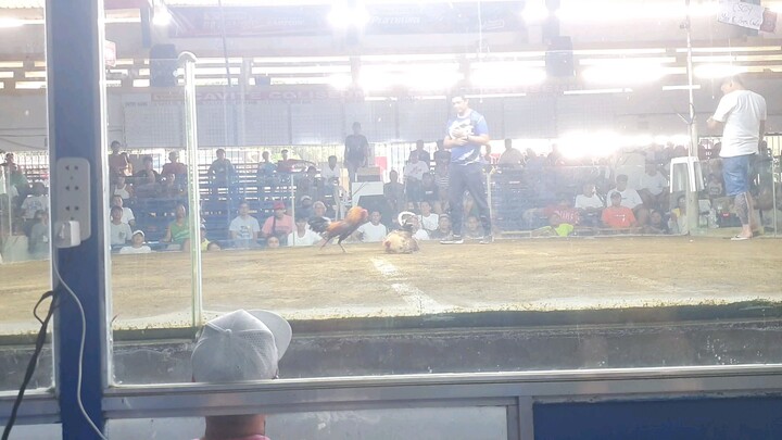 spangle. cavite coliseum