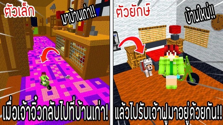 ⚡️โครตใหญ่【เฟรมตัวจิ๋ว VS หนิงตัวยักษ์ ใครกันที่จะชนะ_!】#63 - (Minecraft พากย์ไท