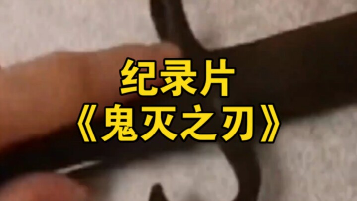 大型纪录片《鬼灭之刃》持续为您播出