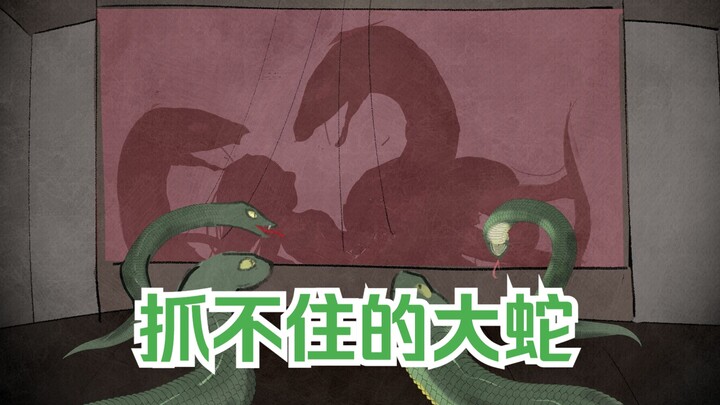 Don't mess with snakes that are too big to catch.