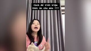 Ai mách mình với 🥲🥲🥲 mèo tiktok LearnOnTikTok meow cat meomeo dcgr