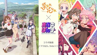 「菜なれ花なれ」×「真夜中ぱんチ」コラボ動画〈マヨぱん Side〉①【今年の夏はP.A.WORKS!!】