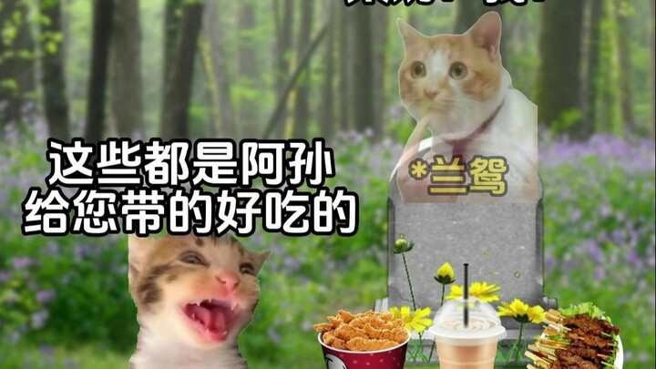 Mistaken ancestor worship, mistaken identity—Great Grandma says: You're too proud.