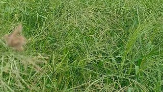 আমরা নতুন আমাদের সাপোর্ট করেন