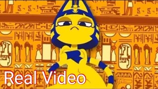 TikTok - Ankha the Zone Original Video Viral Series Animal Crossing TikTok